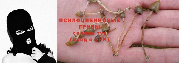 2c-b Алексеевка