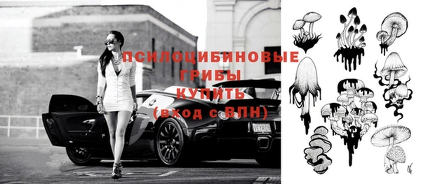 герыч Алзамай